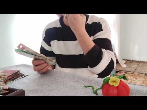 Видео: Семена на 2026 год. 