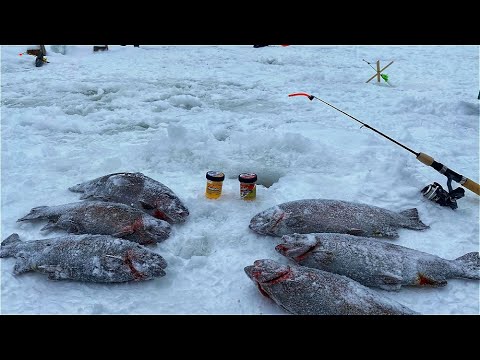 Видео: Ловля форели на сломе погоды. Ловим Форель на поставушки и пасту