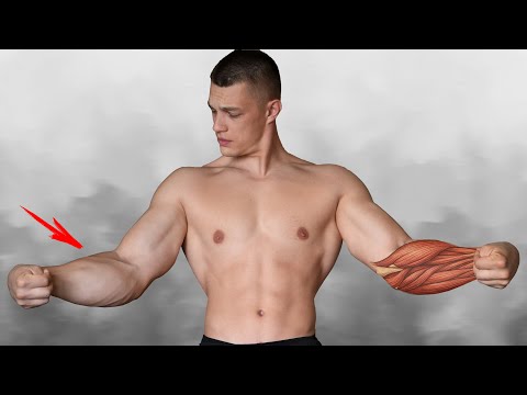 Видео: КАК НАКАЧАТЬ ПРЕДПЛЕЧЬЯ? Полный ГАЙД для НОВИЧКОВ!