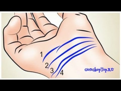 Видео: Браслеты на руке - Хиромантия