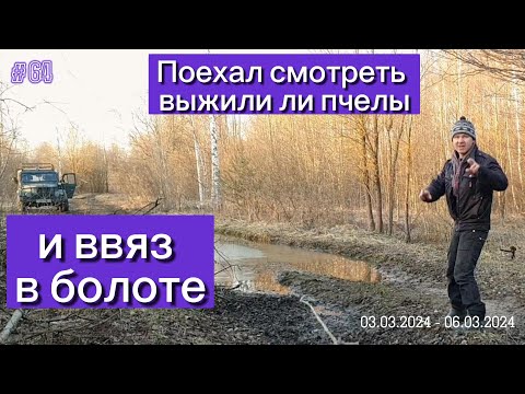 Видео: Поехал смотреть выжили ли пчелы и ввяз в болоте.