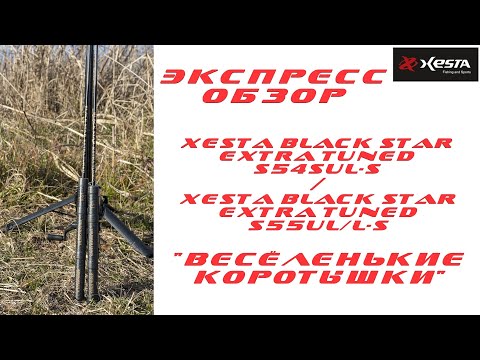 Видео: ШИКАРНЫЕ МАЛЫШКИ! XESTA BLACK STAR EXTRA TUNED S54SUL-S & S55UL/L-S. ЭКСПРЕСС ОБЗОР.