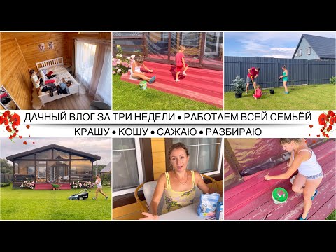 Видео: Весь хлам - на дачу / Организация дачного гардероба / Тружусь аки пчела / Много работы на участке