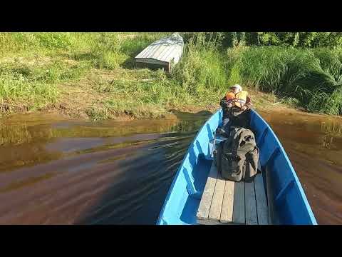 Видео: Можно ли есть сыктывкарский бородинский хлеб #6