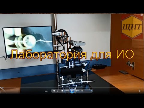 Видео: Лаборатория для ИО пчелиных маток