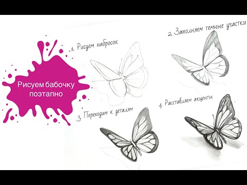 Видео: Рисуем бабочку в графике поэтапно 🦋 Урок пошаговый для начинающих