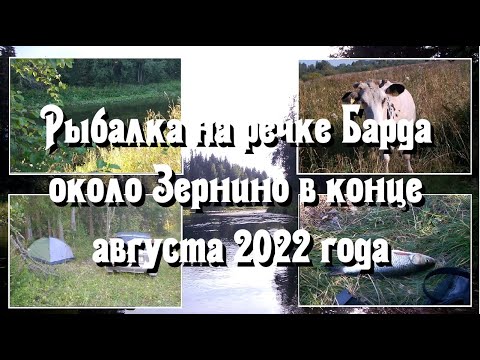 Видео: Рыбалка на речке Барда около Зернино в конце августа 2022 года