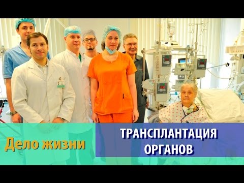 Видео: Трансплантация органов. Дело жизни
