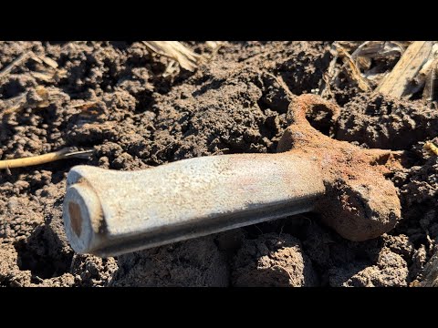 Видео: СОБИРАЕМ ХАБАР НА ПАШНЕ! METAL DETECTING