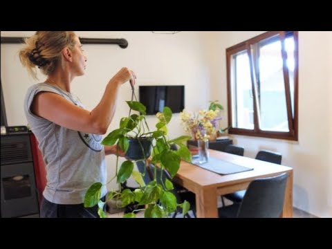 Видео: Чистота и порядок в доме навсегда [метод идеального убежища]