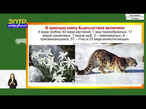 Видео: 8-класс | География  | Охрана растительного и животного мира