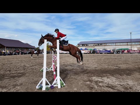 Видео: Алтайское Дерби. Конный Спорт. Конкур. Хакасия