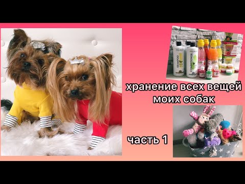 Видео: ХРАНЕНИЕ ВСЕХ ВЕЩЕЙ МОИХ СОБАК / ОДЕЖДА / ИГРУШКИ / КОСМЕТИКА / ЧАСТЬ1