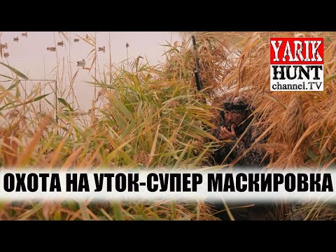 Видео: 🔴Супер маскировка! Охота на утку после шторма