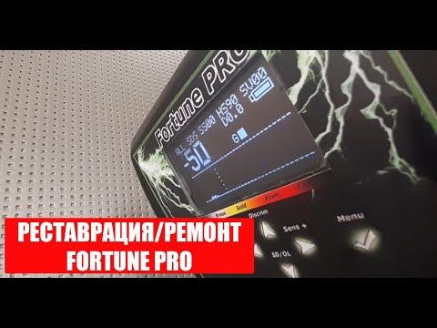 Видео: Приводим в порядок металлоискатель Фортуна ПРО часть 2|Ремонт|Реставрация