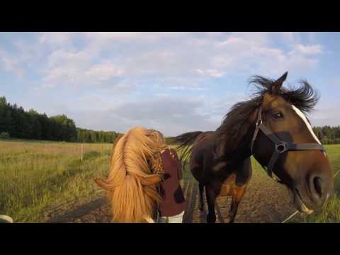 Видео: Наши лошади. Часть 1. Марьяна