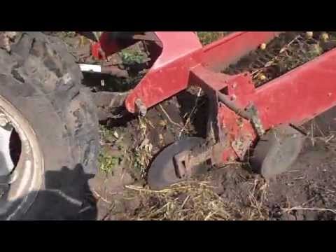 Видео: копалка полька 2014 по буряну.