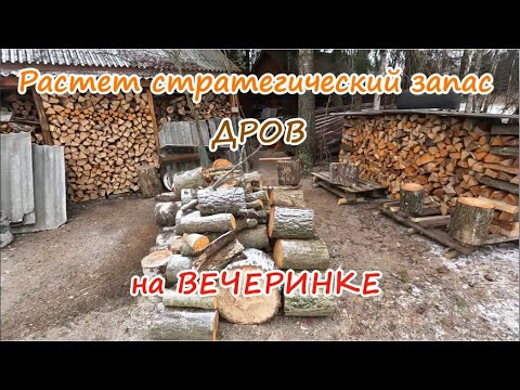 Видео: Запас дров растет.На вечеринке.