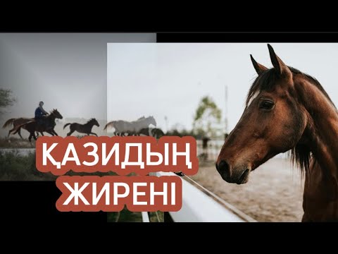 Видео: ҚАЗИДЫҢ ЖИРЕНІ.