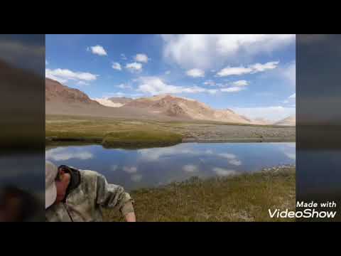 Видео: 16 октября 2025 г.