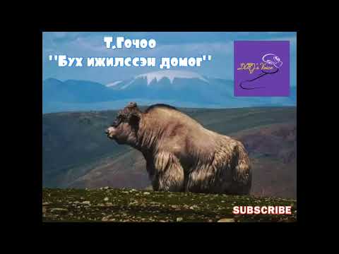 Видео: Т.Гочоо "Бух ижилссэн домог"