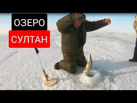 Видео: Рыбалка на озере СУЛТАН! ЩУКА СУДАК!