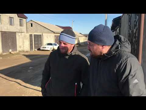 Видео: Взаимовыгодные отношения ❗️