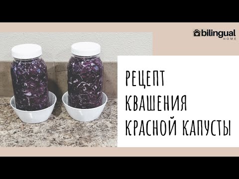 Видео: 📝РЕЦЕПТ КВАШЕНИЯ КРАСНОЙ КАПУСТЫ