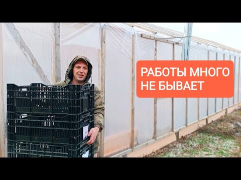 Видео: У нас в деревне будет зимняя клумба