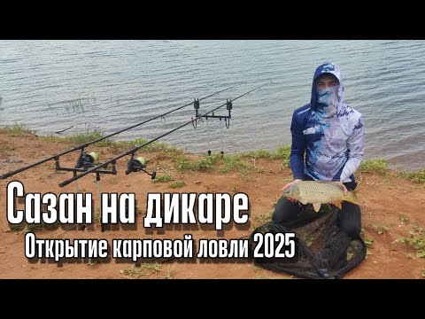 Видео: РЫБАЛКА НА ДИКОГО САЗАНА! ДИМИТРОВСКОЕ ВДХР.