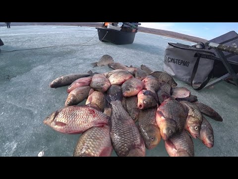 Видео: Хакасия озеро черное (хара кол) караси мутанты не лезут в лунку! Рыбалка на кресты! часть 1