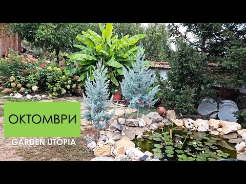 Видео: ОКТОМВРИ Е: Обиколка на градината #Ден 31 от 90 ДНИ НА СЕЛО