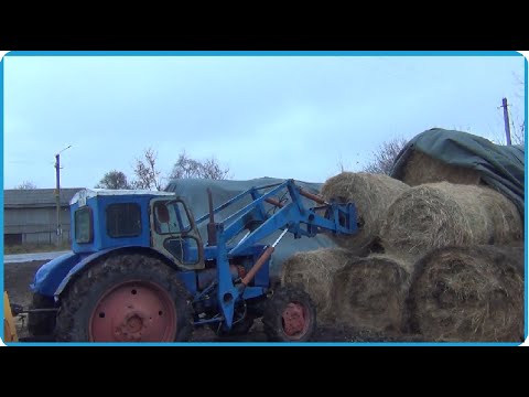 Видео: ДАВНО НУЖНО БЫЛО ЭТО СДЕЛАТЬ, ПРИШЛОСЬ ВСКРЫВАТЬ ЗАПАСЫ СЕНА, ДЕРЕВЕНСКАЯ ЖИЗНЬ