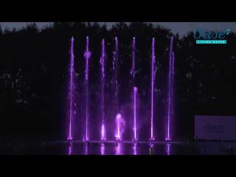 Видео: Электрорегулируемый фонтанный насос OASE Varionaut 400 | Електрорегульований насос для фонтанів