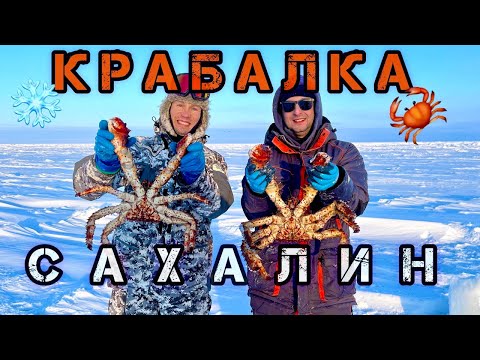 Видео: Ловим королевского краба зимой в море! Крабалка Сахалин!