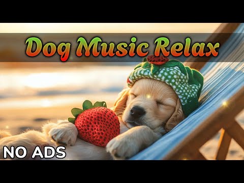 Видео: Музыка для собак 🐶 Нежная целебная музыка | Расслабь собаку и помоги уснуть