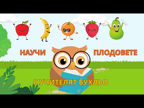 Видео: ПЛОДОВЕТЕ | Научи плодовете с учителят Бухльо + факти за всеки плод |THE BEST KIDS BG #деца #плодове