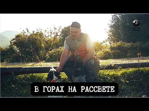 Видео: В горах на рассвете // Спутники охотника // Серия 6