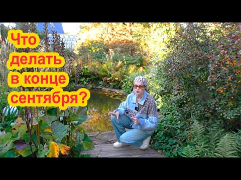 Видео: Что делать в конце сентября?