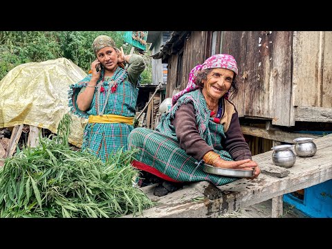 Видео: Индийская мафия. Не смей трогать руками. Опасная деревня Малана #60
