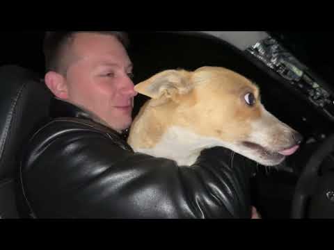 Видео: С Корабля На Бал ‼️Вечером Стрим 20:00 Всех Приглашаем 🤗