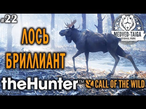 Видео: theHunter call of the wild #22 🔫 - Лось-Бриллиант - Винтовка - Медведь, Кабан, Рысь, Лось, Кабарга