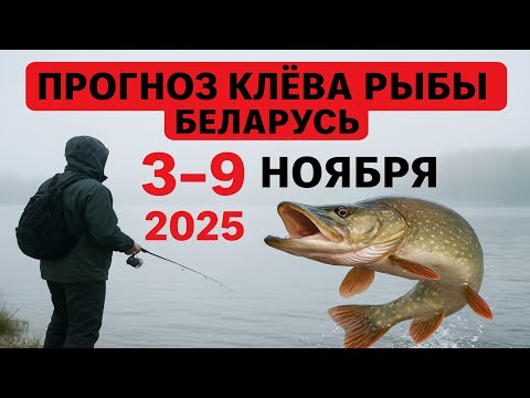 Видео: ПРОГНОЗ КЛЁВА в Беларуси с 3 по 9 ноября 2025 года. Бросай все и на рыбалку!