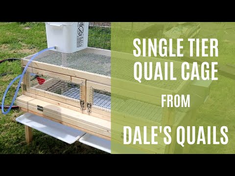 Видео: Одноярусная клетка для перепелов от Dale's Quails