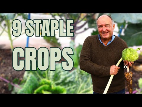 Видео: 9 овощей, которые будут вас кормить круглый год