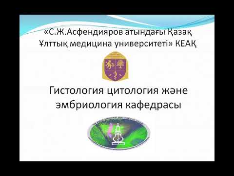 Видео: Нерв тіні