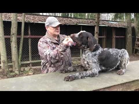 Видео: Немного о наших учениках.