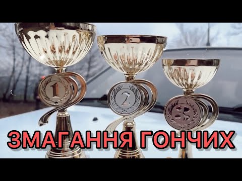Видео: ЗМАГАННЯ ГОНЧИХ 20-22.01.23 в Чернівецькій області