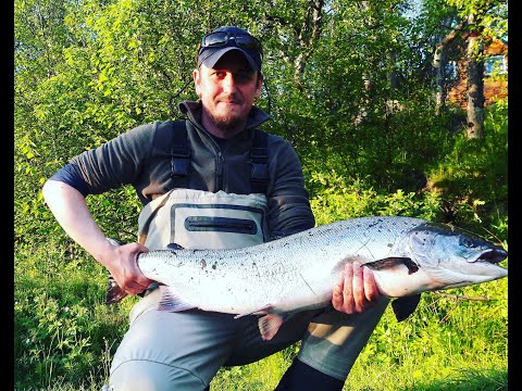 Видео: Сёмга на реке Кола (Кольский полуостров)