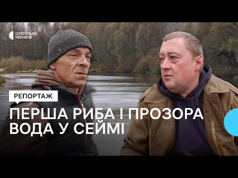 Видео: Перша риба та прозора вода: рибалки з Чернігівщини про відновлення річки Сейм після забруднення